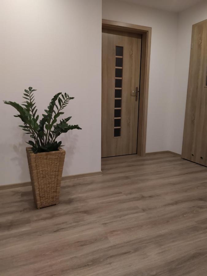 Apartament Kaola Jelenia Góra Extérieur photo